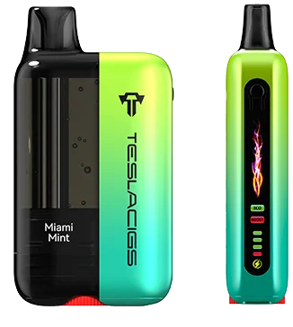 TESLACIGS 25K DISPOSABLES